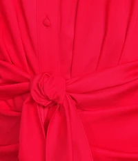 Alex Marie Adriana Long Sleeve Collared Tie Waist Maxi Dress