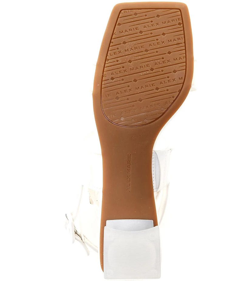 Alex Marie Brooklynn Clear Double Banded Block Heel Sandals