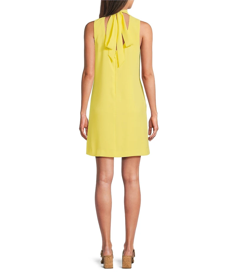 Alex Marie Chiara Mock Neck Sleeveless Crepe Dress