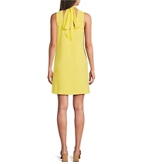 Alex Marie Chiara Mock Neck Sleeveless Crepe Dress