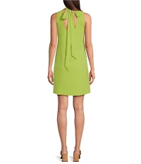 Alex Marie Chiara Mock Neck Sleeveless Crepe Dress