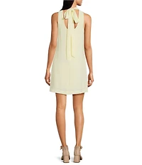 Alex Marie Chiara Mock Neck Sleeveless Crepe Dress