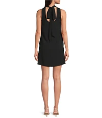 Alex Marie Chiara Stretch Crepe Mock Neck Sleeveless Dress