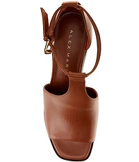 Alex Marie Danica Leather T-Strap Shooties