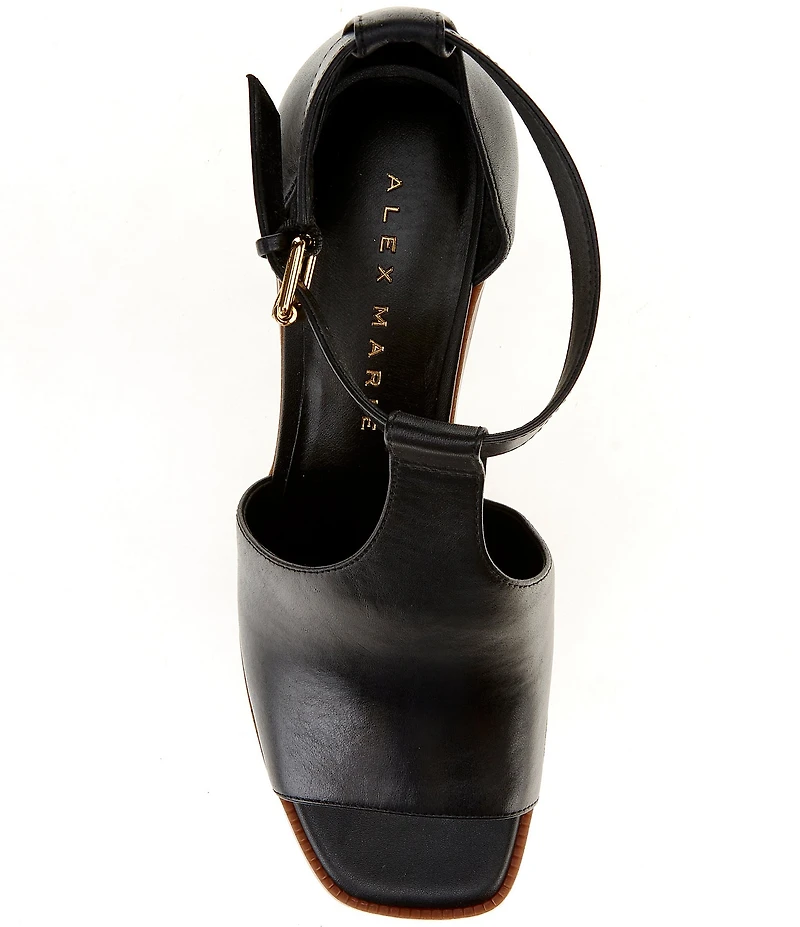 Alex Marie Danica Leather T-Strap Shooties