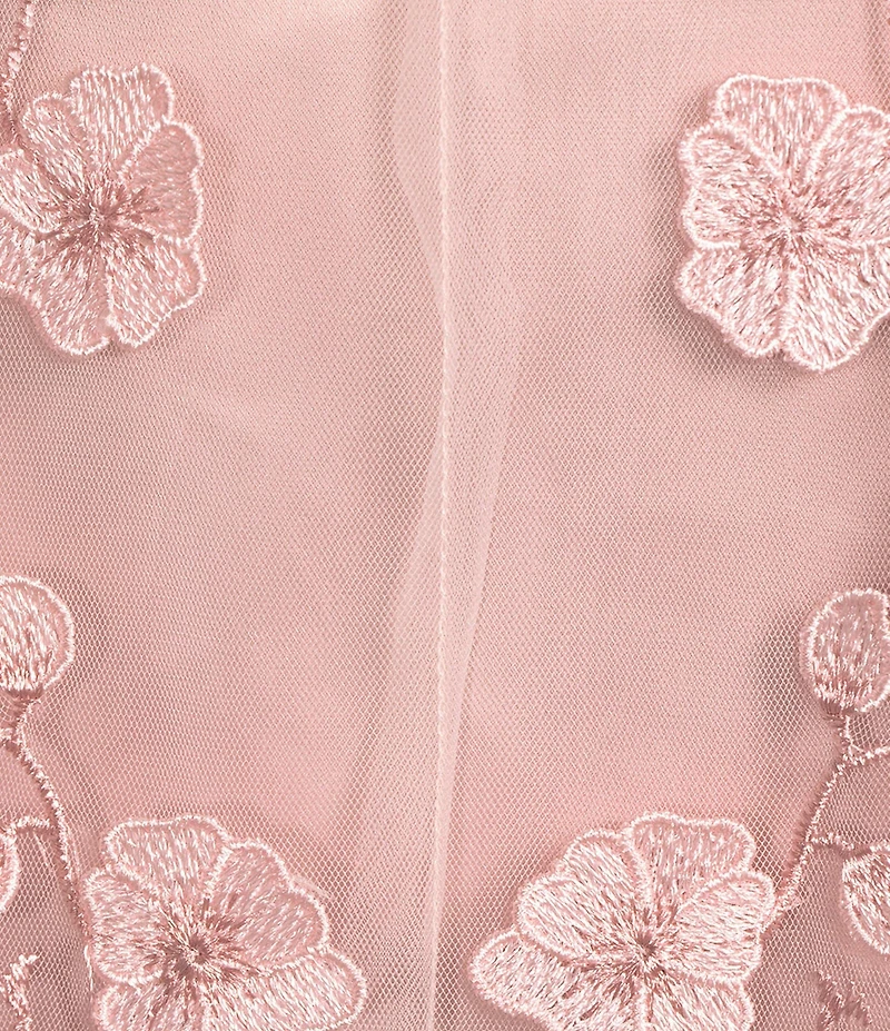 Alex Marie Elise Embroidered Mesh Floral Applique Sleeveless Dress
