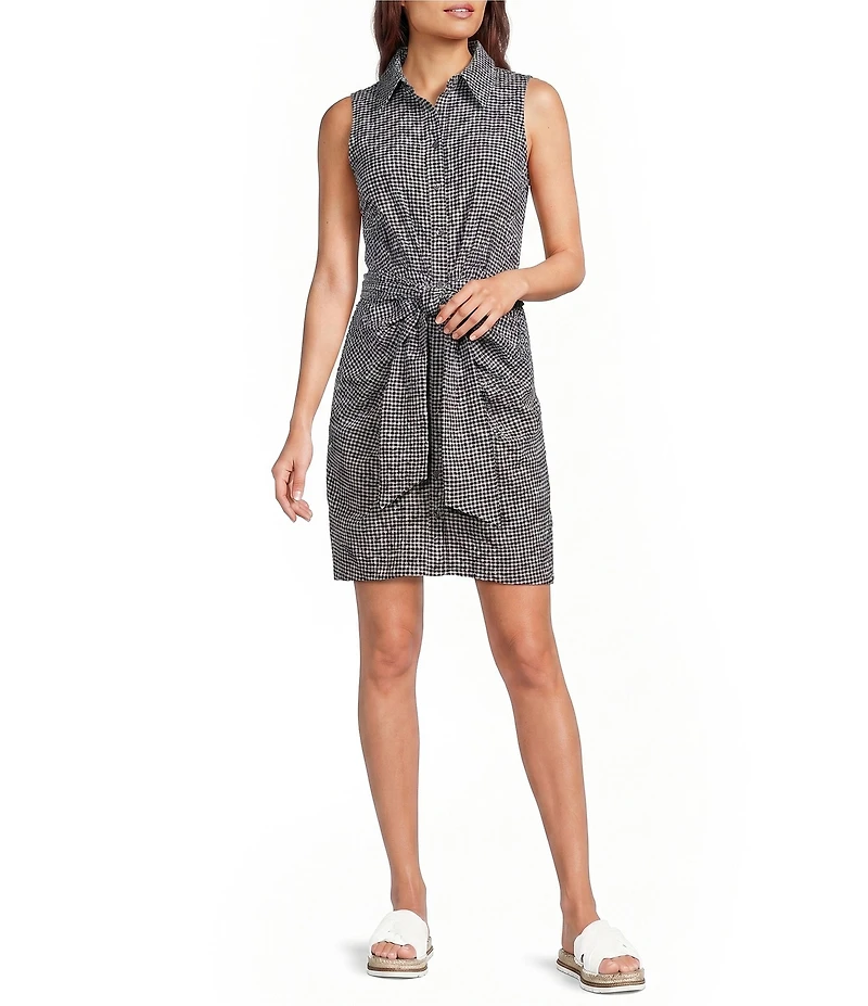 Alex Marie Gingham Collar Neck Sleeveless Jessa Dress