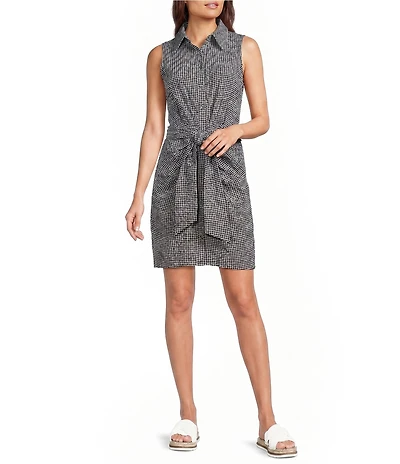 Alex Marie Gingham Collar Neck Sleeveless Jessa Dress