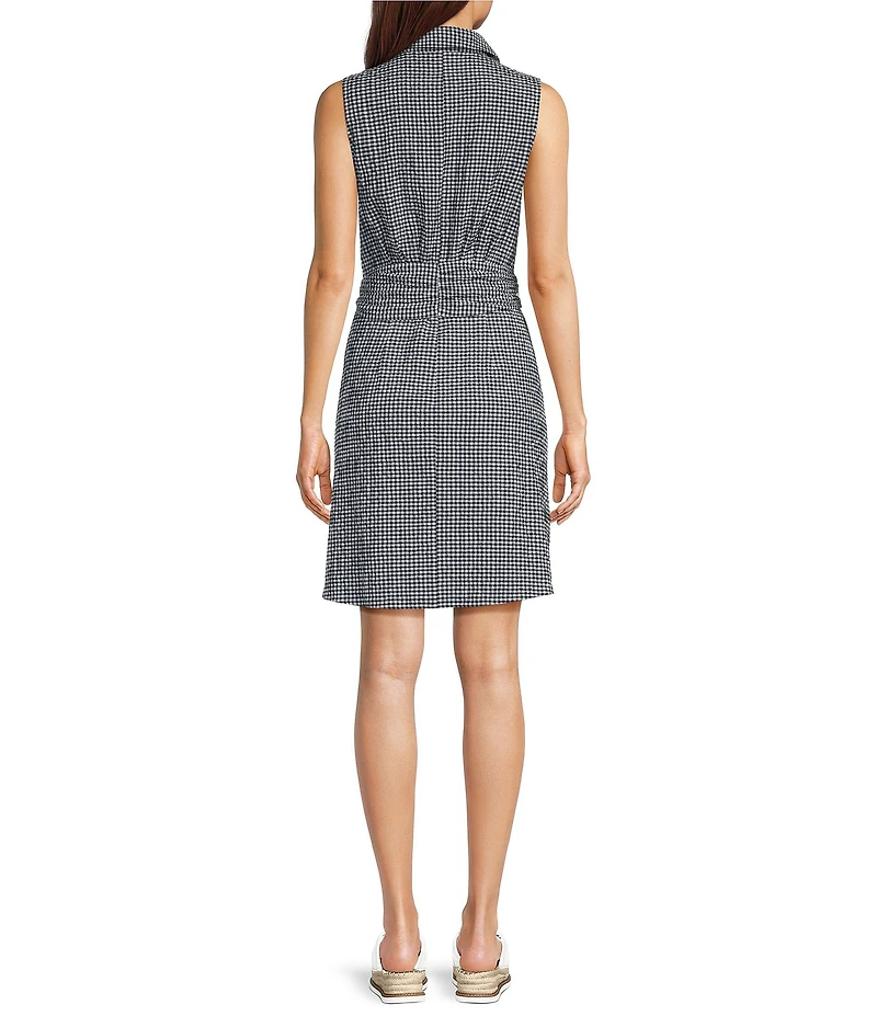 Alex Marie Gingham Collar Neck Sleeveless Jessa Dress