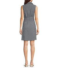 Alex Marie Gingham Collar Neck Sleeveless Jessa Dress