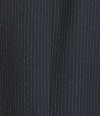 Alex Marie Liza Novelty Stripe Suiting Peak Lapel Long Sleeve Jacket