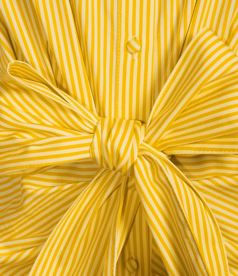 Alex Marie Rommie Stripe Collar Sleeveless Sateen Maxi Dress