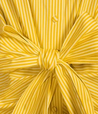 Alex Marie Rommie Stripe Collar Sleeveless Sateen Maxi Dress