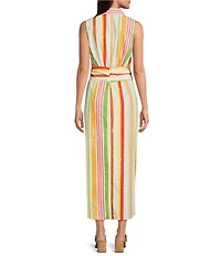 Alex Marie Rommie Stripe Collared Sleeveless Printed Poplin Dress