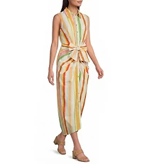 Alex Marie Rommie Stripe Collared Sleeveless Printed Poplin Dress