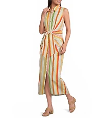 Alex Marie Rommie Stripe Collared Sleeveless Printed Poplin Dress