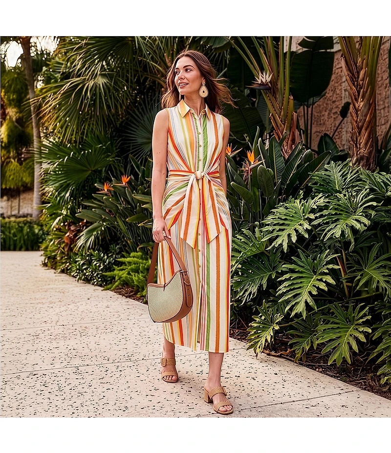 Alex Marie Rommie Stripe Collared Sleeveless Printed Poplin Dress