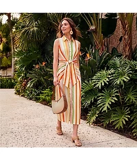 Alex Marie Rommie Stripe Collared Sleeveless Printed Poplin Dress