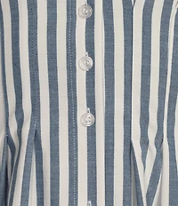 Alex Marie Sophia Stripe Button Down Collared Short Sleeve Dress