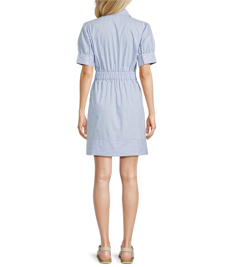 Alex Marie Zoe Stripe Collar Short Sleeve Striped Poplin Dress
