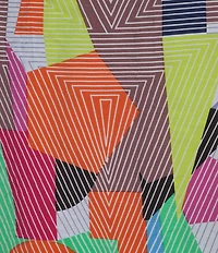 Ali Miles Abstract Print Round Neck 3/4 Dolman Cinch Tie Sleeve Tunic