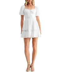 All in Favor Puff Sleeve Lace Contrast Fit & Flare Mini Dress
