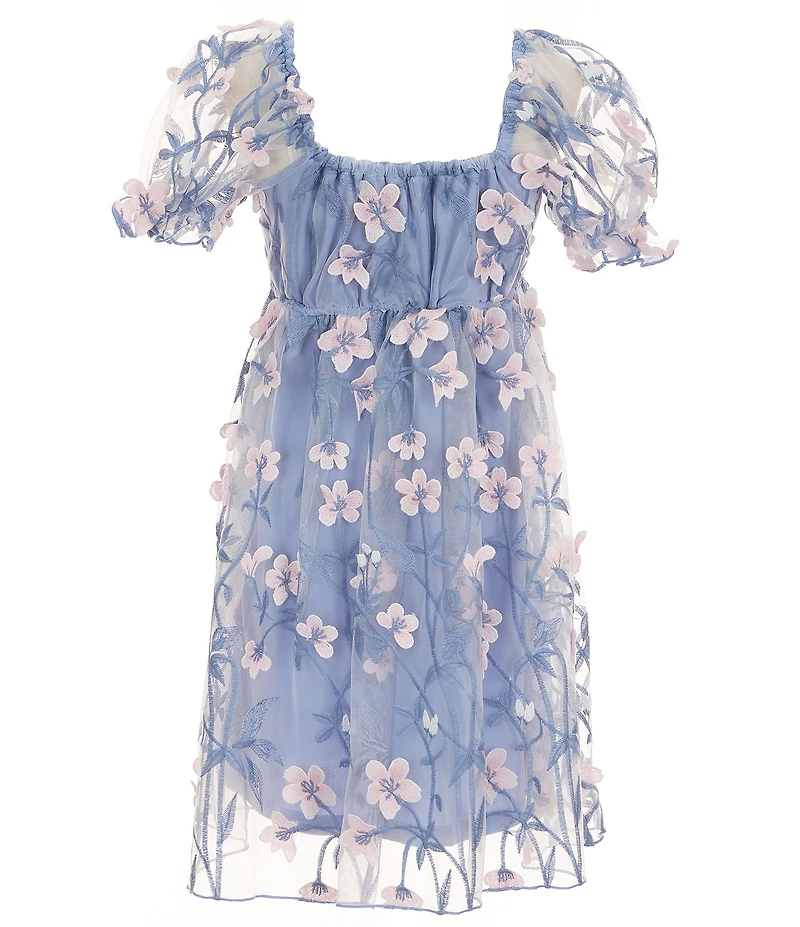 Allison & Kelly Big Girls Puffed-Sleeve Floral-Embroidered Mesh Empire-Waist Dress
