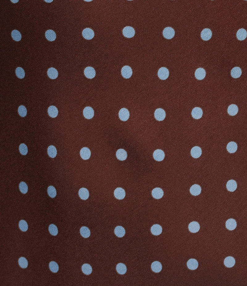 Allison & Kelly Polka Dot V-Neck Lace Trim Dress