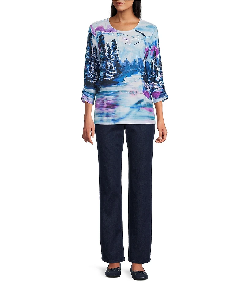 Allison Daley Petite Alpine Breeze Print 3/4 Sleeve Crew Neck Knit Top