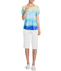 Allison Daley Petite Size Cool Sunset Print Short Sleeve Crew Neck Knit Top