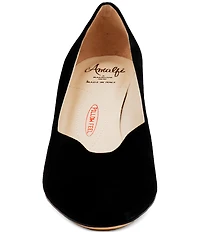 Amalfi Lauda Suede Pointed Toe Pumps