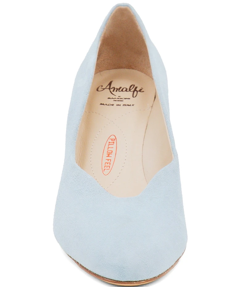Amalfi Lauda Suede Pointed Toe Pumps