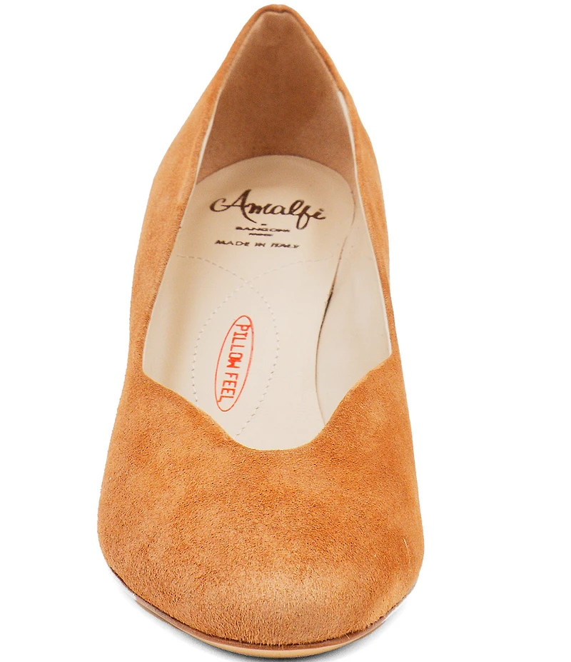 Amalfi Lauda Suede Pointed Toe Pumps
