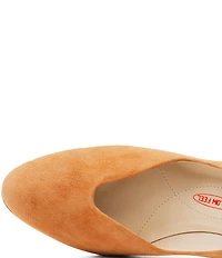 Amalfi Lauda Suede Pointed Toe Pumps