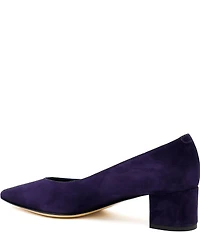 Amalfi Panorama Suede Pointed Toe Block Heel Pumps