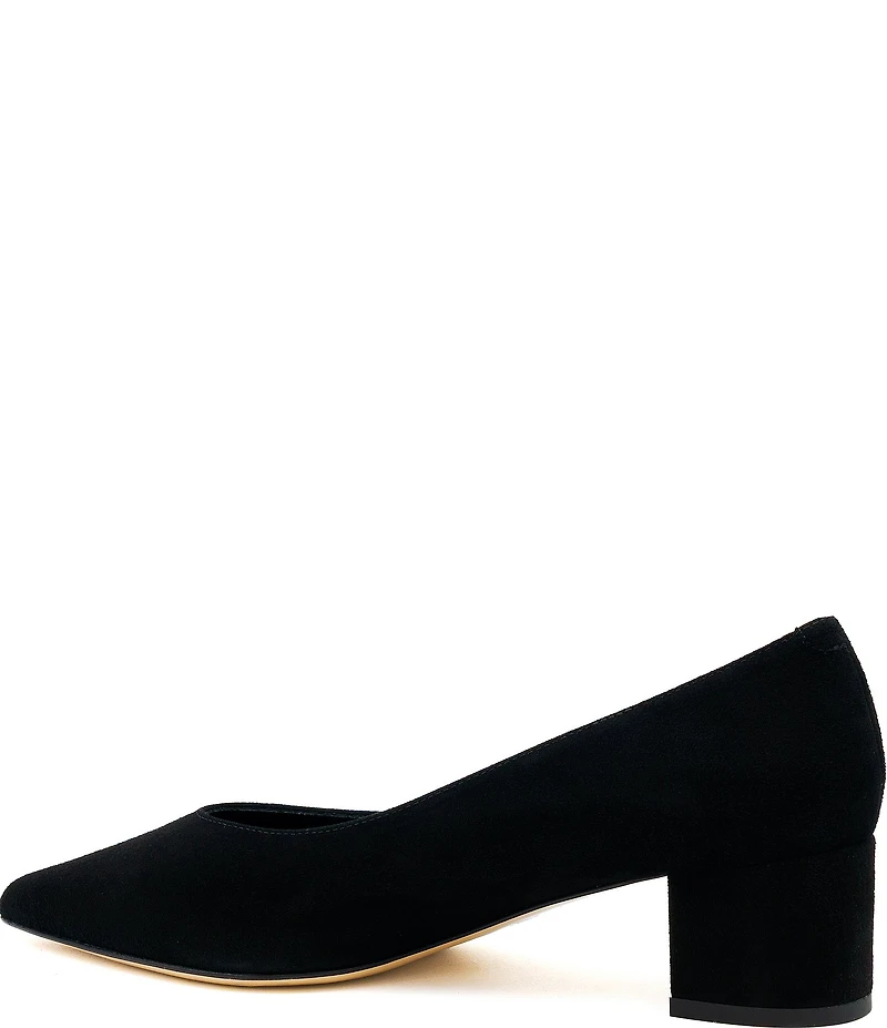 Amalfi Panorama Suede Pointed Toe Block Heel Pumps