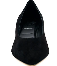 Amalfi Panorama Suede Pointed Toe Block Heel Pumps