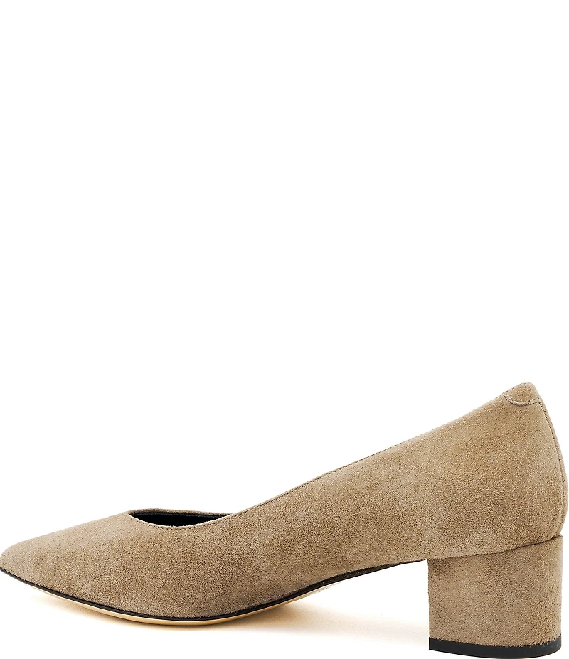 Amalfi Panorama Suede Pointed Toe Block Heel Pumps