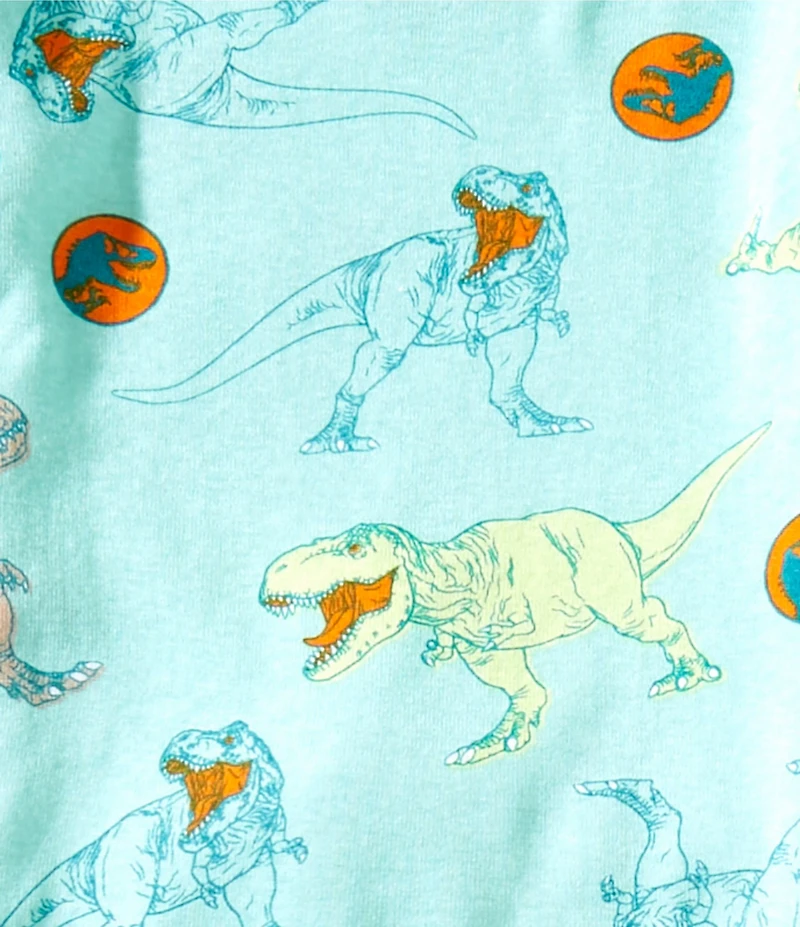 AME Little Boys Jurassic World T-REX 4-Piece Pajama Set