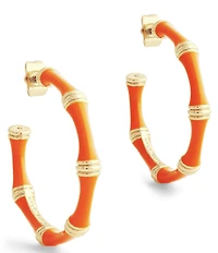 Anabel Aram Bamboo Enameled Hoop Earrings