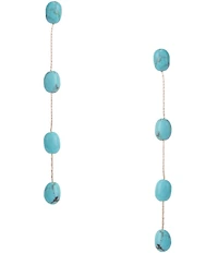 Anna & Ava Turquoise Stone Linear Earrings