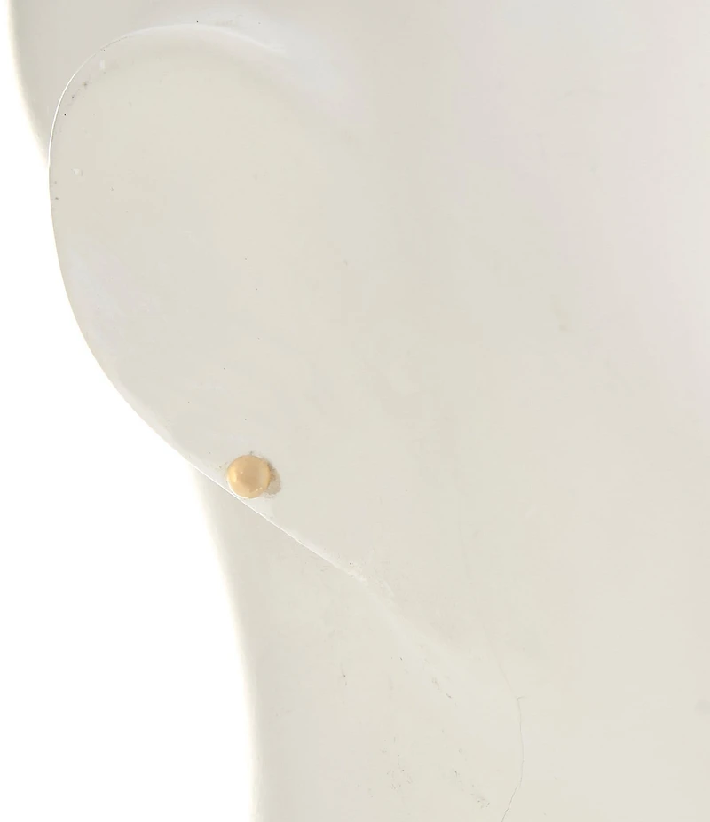 Anna & Ava Waterproof CZ Stones Stud & Hoop Earring Set