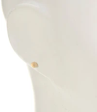 Anna & Ava Waterproof CZ Stones Stud & Hoop Earring Set