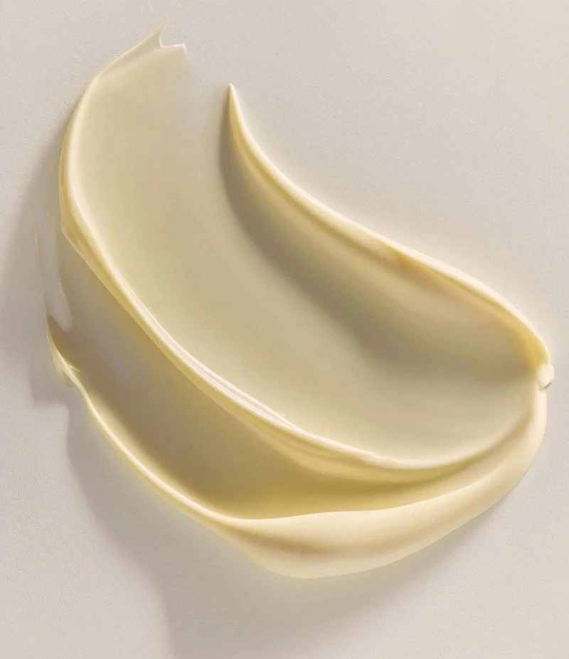 Annemarie Borlind System Absolute Smoothing Day Cream