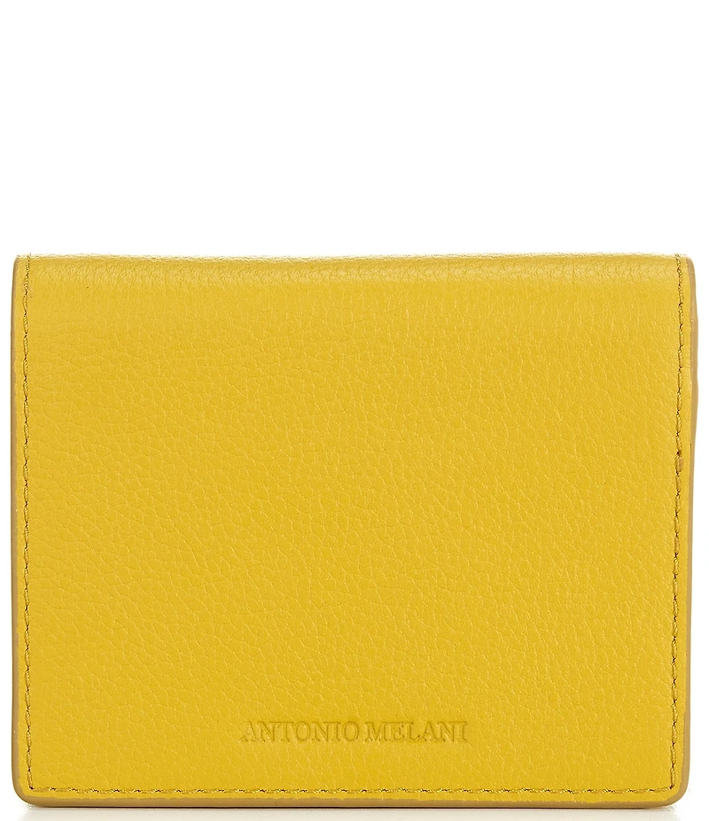 Antonio Melani Accordion Card Case Wallet