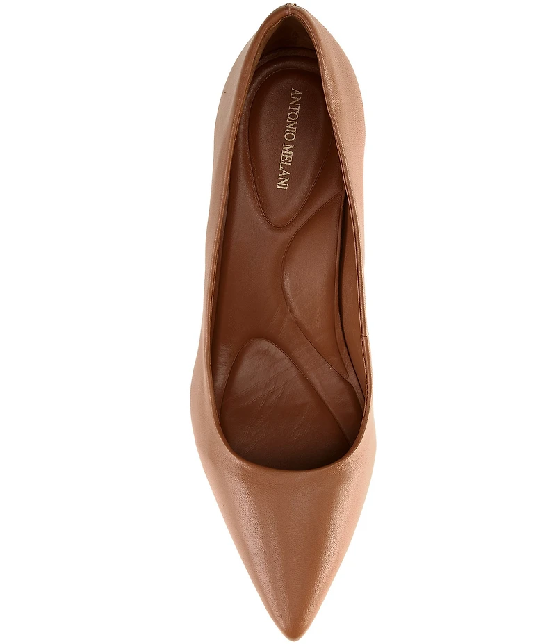 Antonio Melani Aden Leather Pointed Toe Pumps