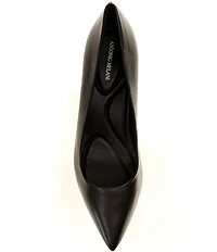 Antonio Melani Aden Leather Pointed Toe Pumps