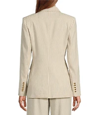 Antonio Melani Coordinating Aurora Stripe Linen Blend Jacket