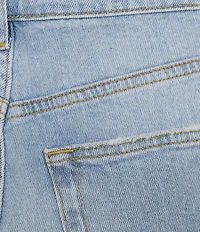 Antonio Melani Bayleigh Raw Hem Mid Rise Denim Shorts