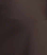 Antonio Melani Bella A-Line Coordinating Satin Maxi Skirt